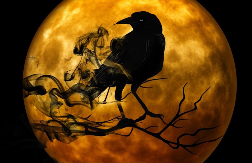 Rus Havayoluna Siber Saldırı crow 988218 1280