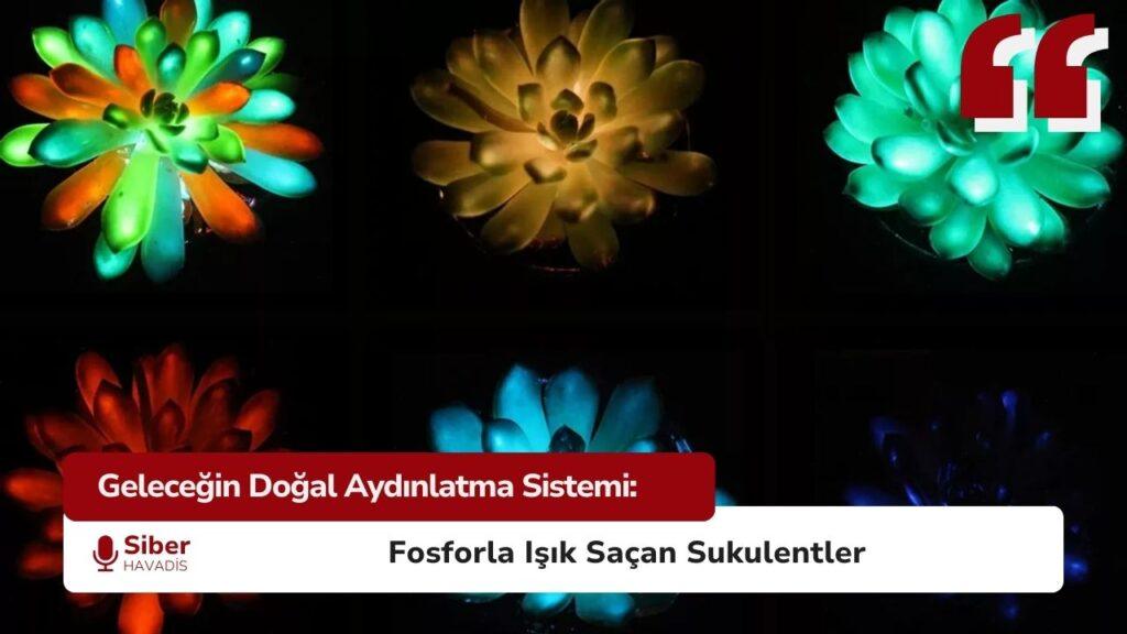 Karanlıkta parlayan bitkiler doğal aydınlatma çözümü