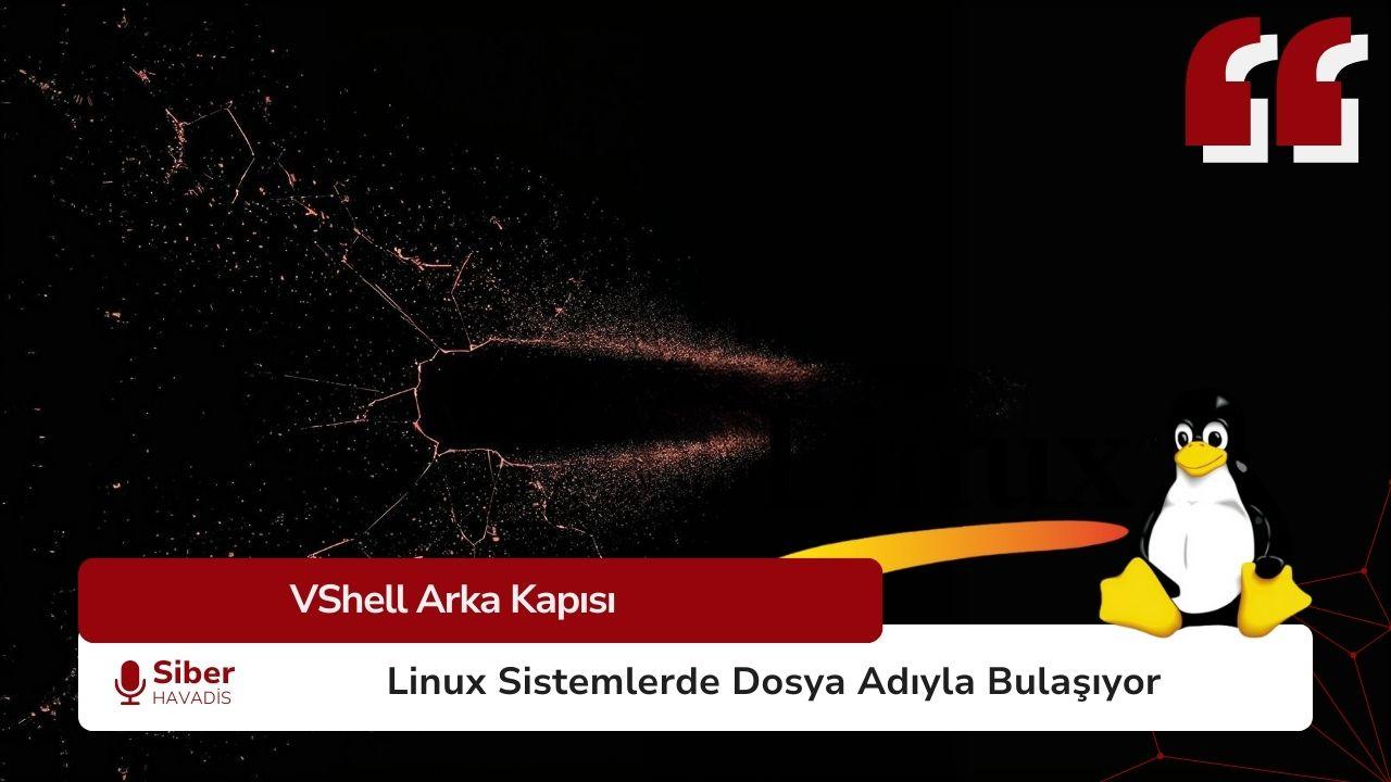 VShell Arka Kapısı Linux Sistemlerde Ortaya Çıktı